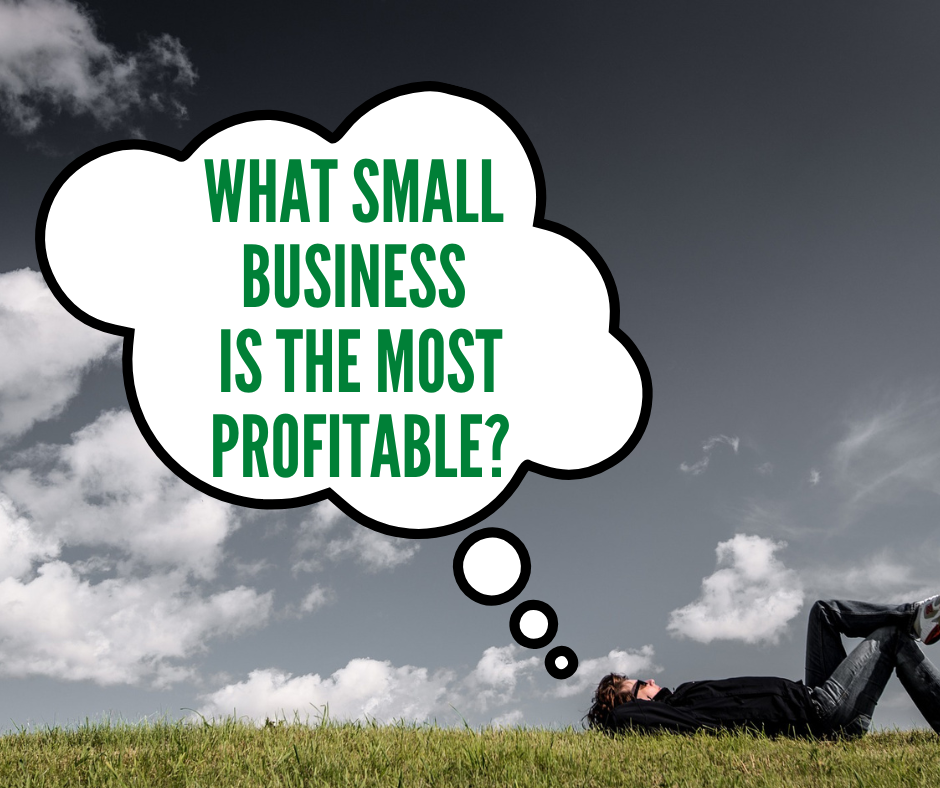 divide the sea, dividethesea, dividethesea.com, what small business is the most profitable, small business profits, net profit, gross income, starting a biz,