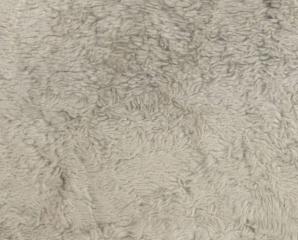 carpet, fiber, texture-1008425.jpg